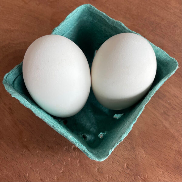 Goose Eggs